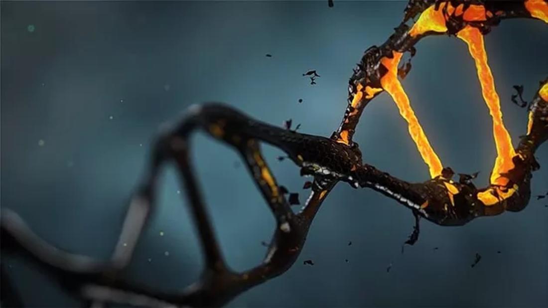 UPJS University - Convegno mondiale ricerca scientifica