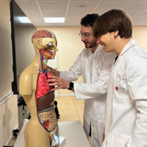 Doppia iscrizione Medicor Tutor - soluzione alla riforma del test di medicina e odontoiatria in itali