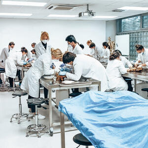 summer school medicor tutor, gli studenti di medicina dissezionano cadavere
