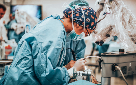 Corso di dissezione anatomica