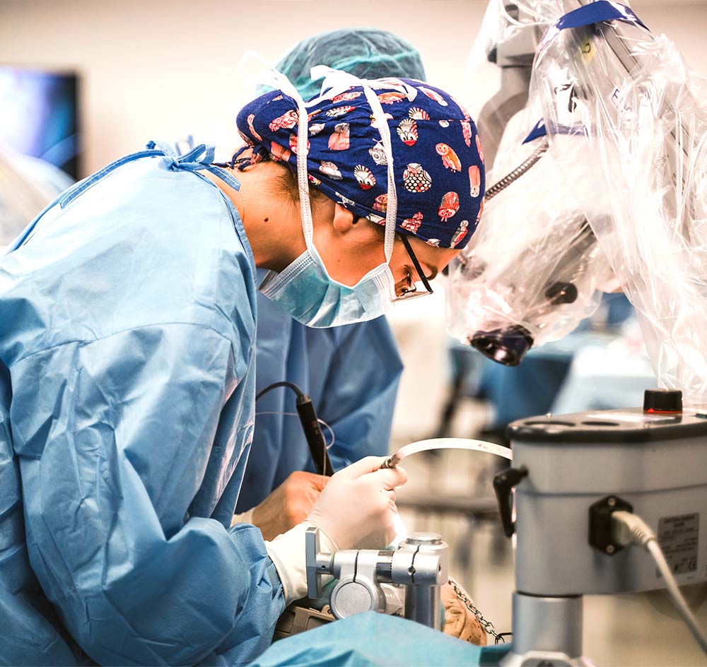 Studiare Medicina e Odontoiatria all'Estero con Medicor Tutor