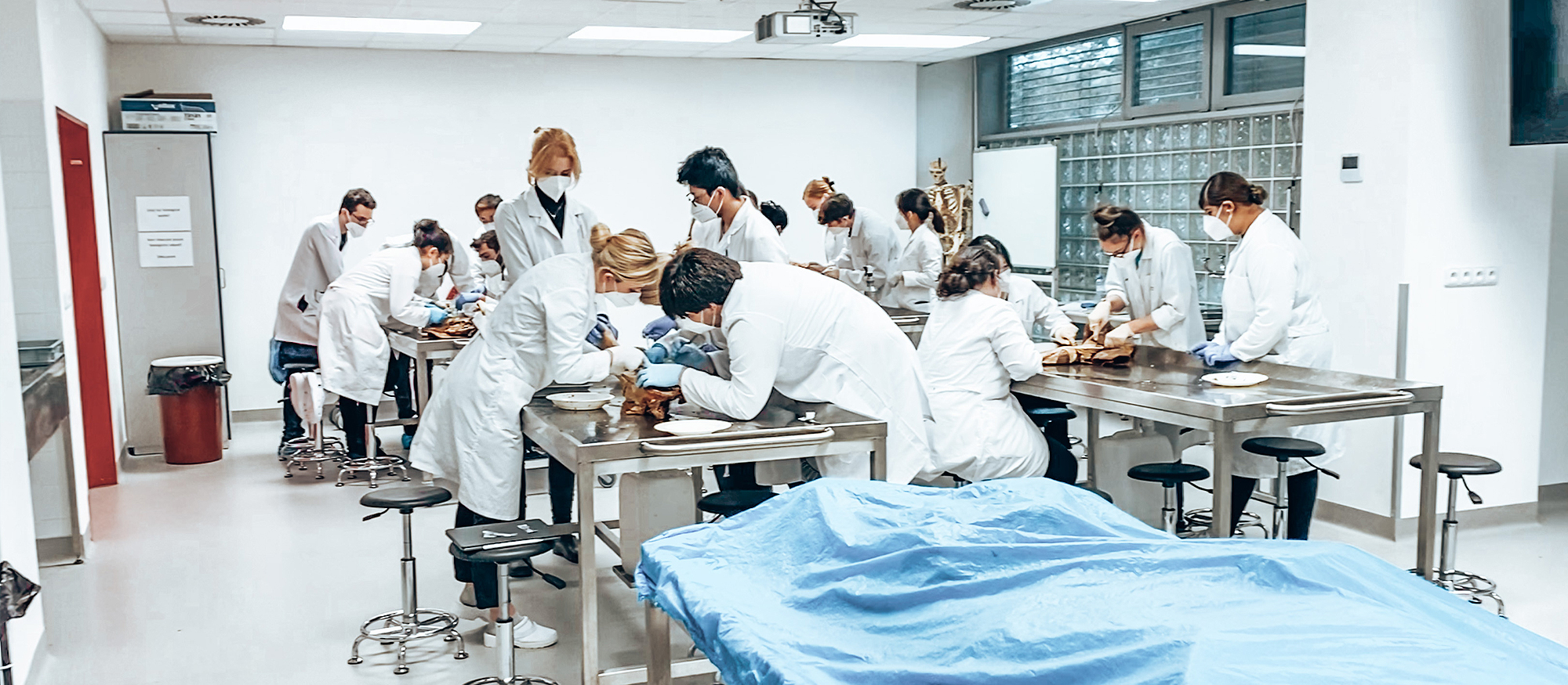 Summer School - Esercitati come un vero chirurgo