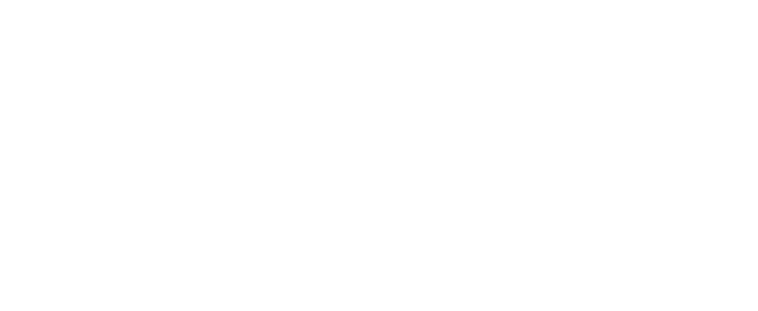 Summer School